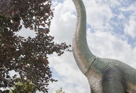 Dinosaurier in Bassersdorf